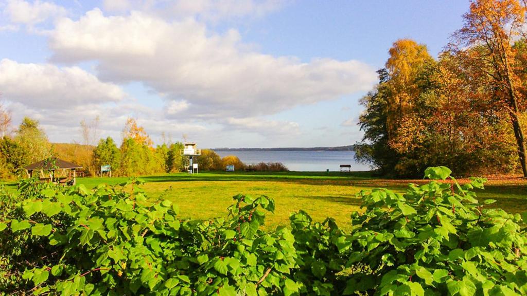 a field of grass with a lake in the background at Bungalow 2 in Quetzin