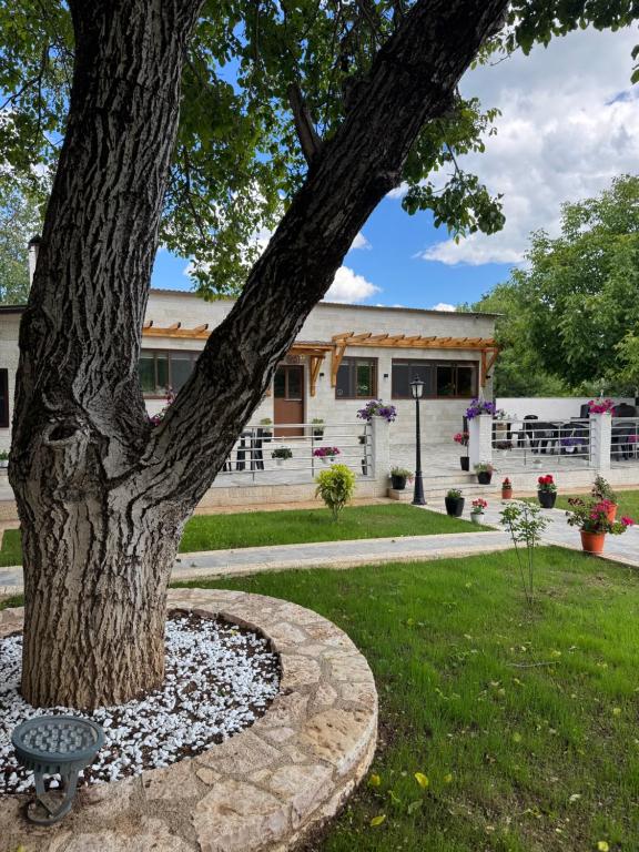 Zahrada ubytování Kadena Guesthouse
