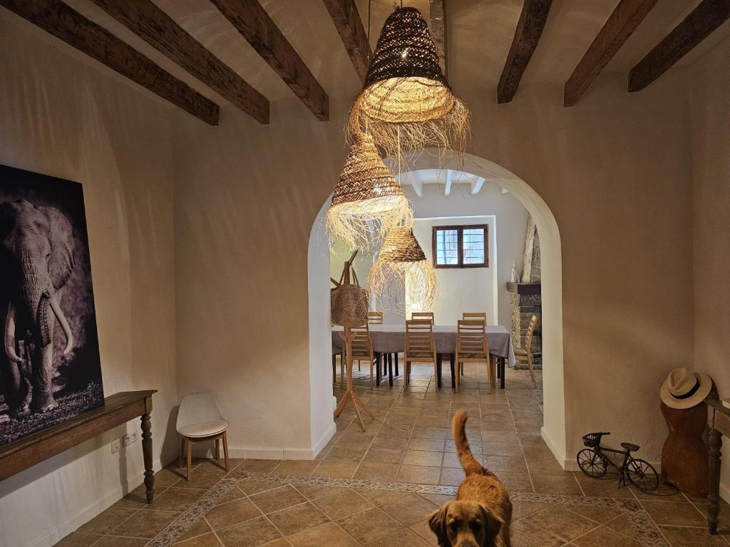 Domácí mazlíčci ubytovaní s hosty v ubytování Agroturismo Finca Can Sec