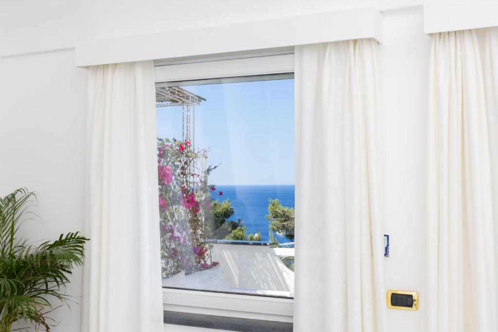 Oliveto Capri apartments - 9