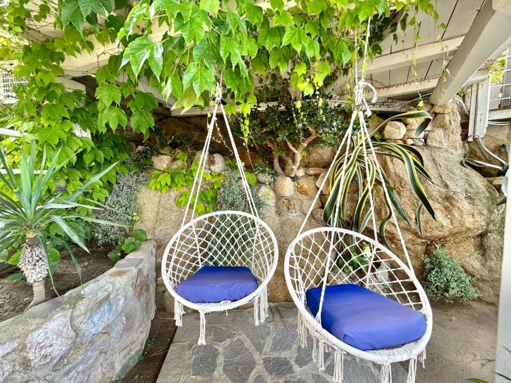 Zahrada ubytování Hotel Sant'Andrea