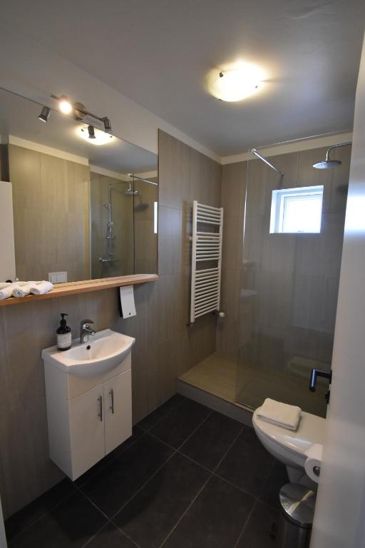 e bagno con lavandino, servizi igienici e doccia. di Glacier World - Hoffell Guesthouse a Hoffell