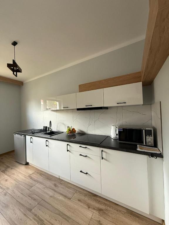 Apartamenty Wadowity- Energylandia Zator - 1