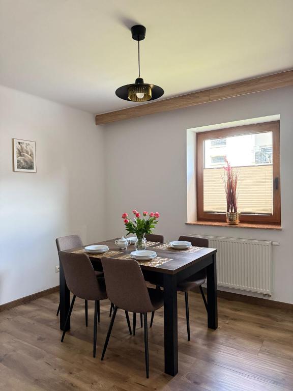 Apartamenty Wadowity- Energylandia Zator - 17