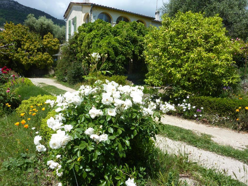 un jardin avec des fleurs blanches en face d'une maison dans l'établissement Maison à Ste Colombe, à La Celle-sous-Gouzon