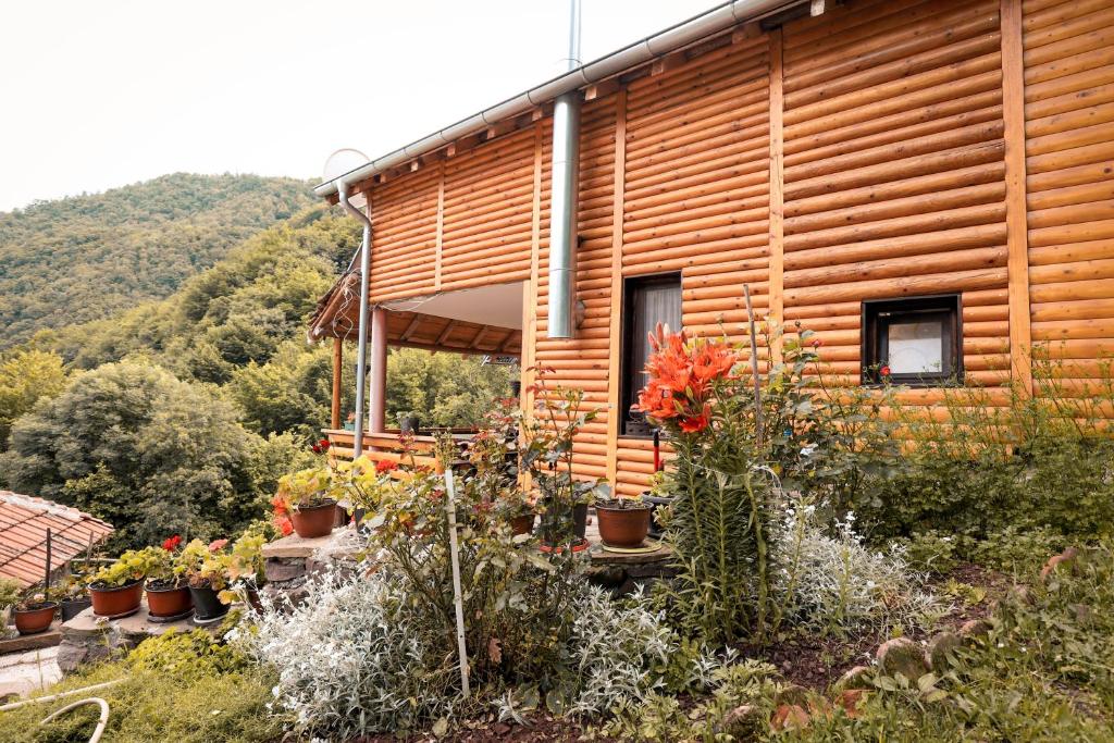 Příroda nedaleko apartmánu