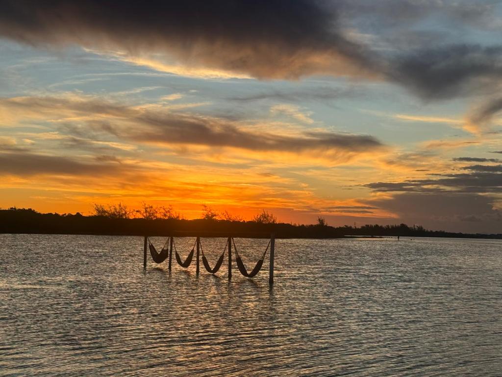 Φυσικό τοπίο κοντά σε αυτό το διαμέρισμα