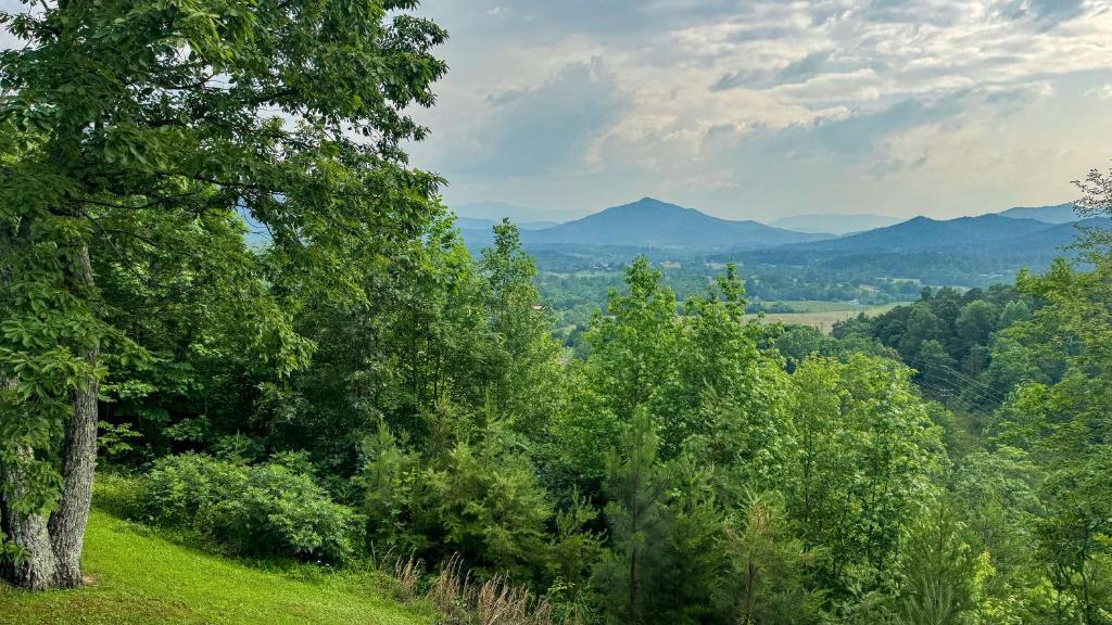 a hillside with trees and mountains in the distance at A Painted Pony in Sevierville