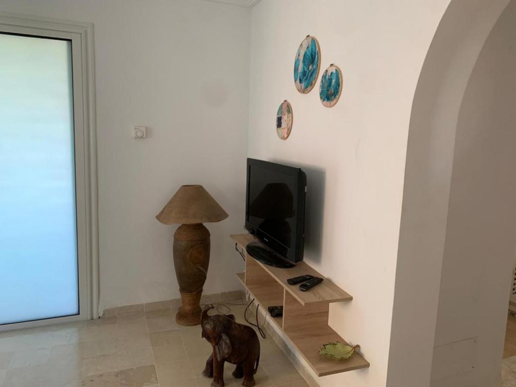 Μια τηλεόραση ή/και κέντρο ψυχαγωγίας στο Appartement sonia