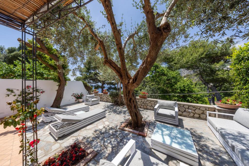 Oliveto Capri apartments - Superior Apartment With Terrace