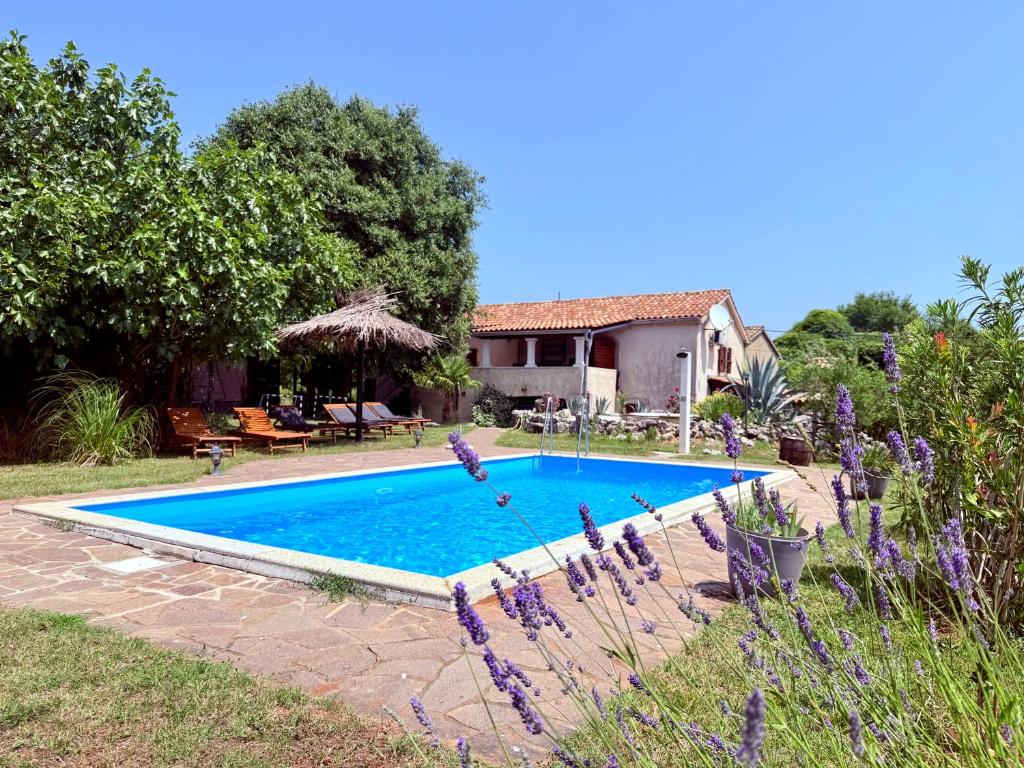 basen przed domem w obiekcie Guest House Risika w mieście Vrbnik