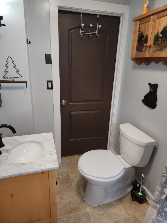 Koupelna v ubytování Moose Riverside Bungalow 3BR Home Old Forge NY
