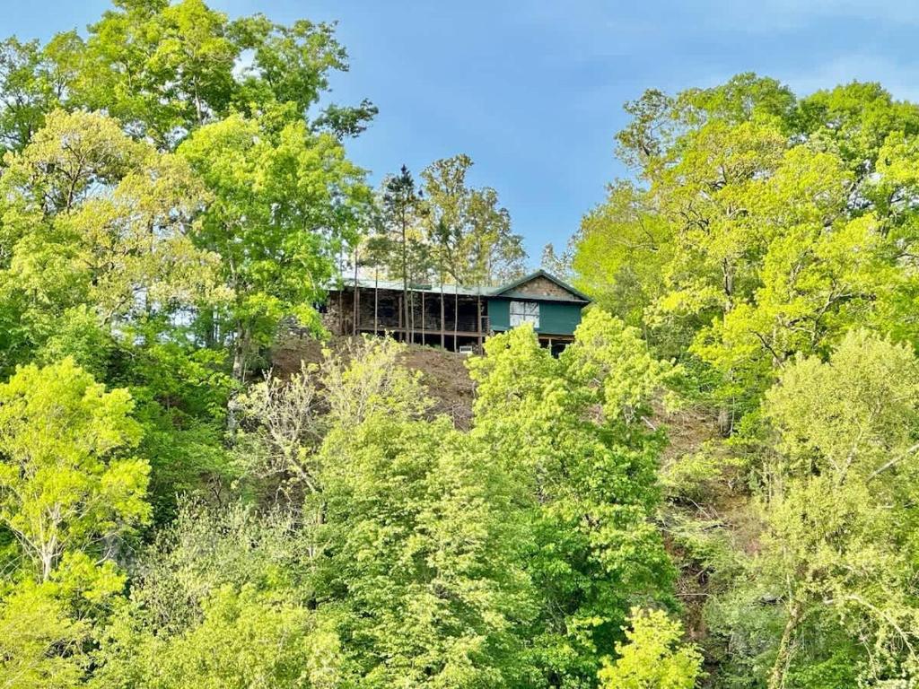 a house on top of a hill with trees at Eagle Rock Cabin Illinois River view in Tahlequah