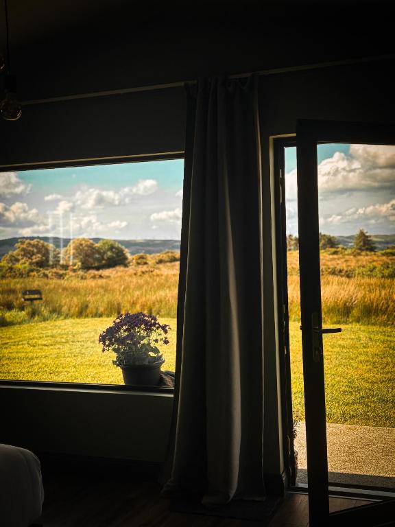 a window with a potted plant in front of a field at Wild Hideaways Luxury Lodges and Eco Spa in Bantry
