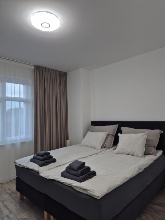 Łóżko lub łóżka w pokoju w obiekcie Brickstone Apartments Mabork