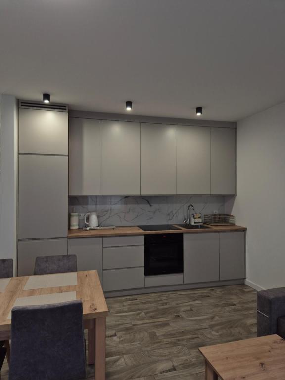 Kuchnia lub aneks kuchenny w obiekcie Brickstone Apartments Mabork