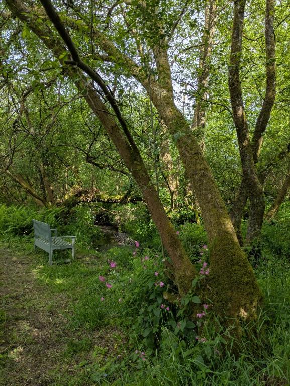 Zahrada ubytování Go Eco Glamping