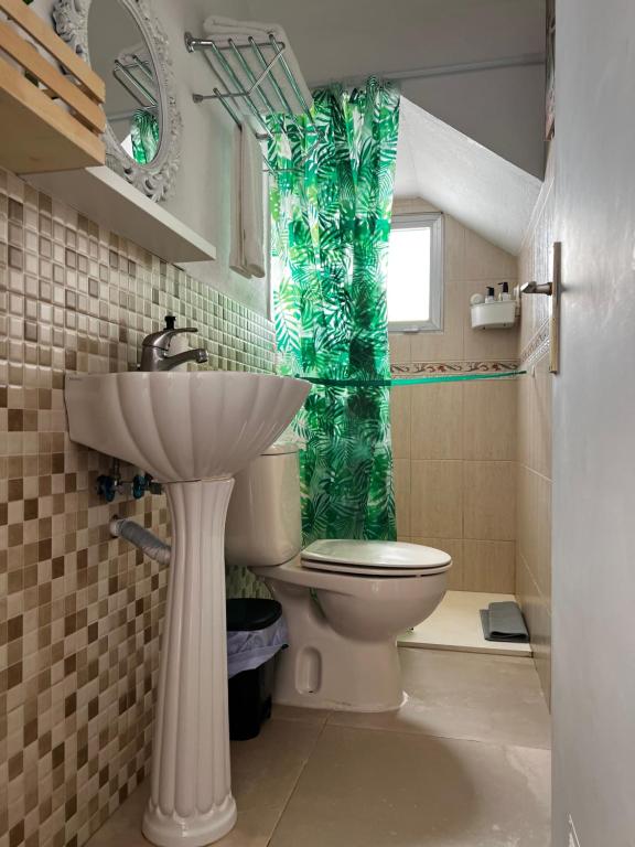a bathroom with a toilet and a green shower curtain at Apartamento Mia Gran Tarajal in Gran Tarajal