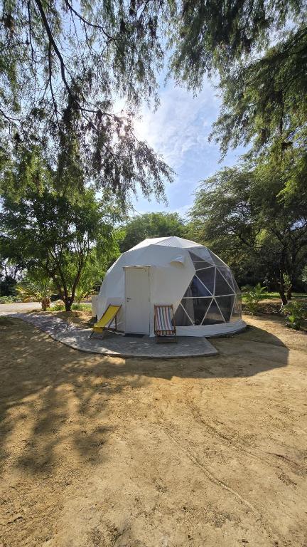 Zahrada ubytování Club Porta Verde Glamping y Domos