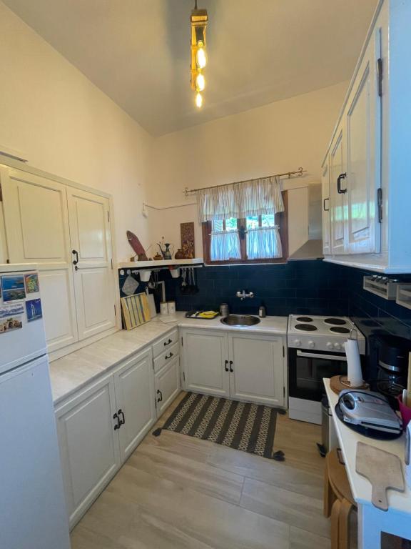 Kuchyňa alebo kuchynka v ubytovaní Dovas house