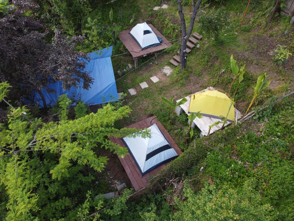 Zahrada ubytování Forest & Sea Campsite