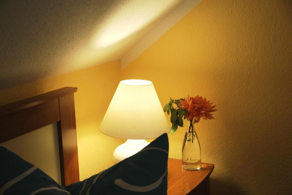 Pension Villa Irene - 17