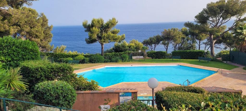une piscine avec l'océan en arrière-plan dans l'établissement Studio Résidence Cap Soleil, à Saint-Mandrier-sur-Mer