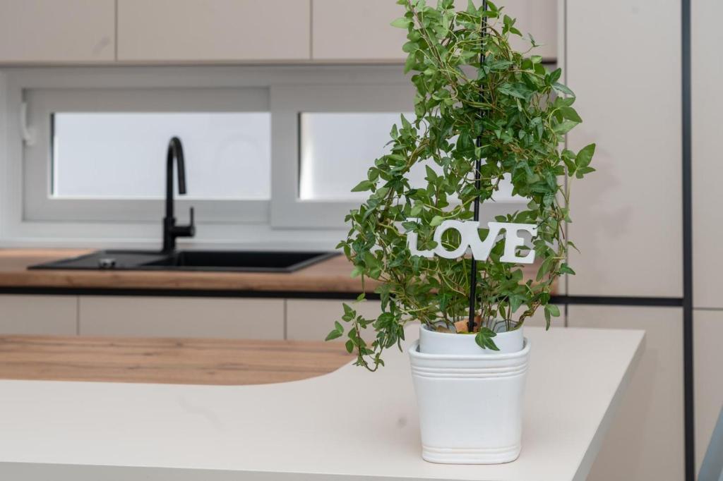 Fotografie z fotogalerie ubytování Apartmani Miranda v destinaci Drasnice