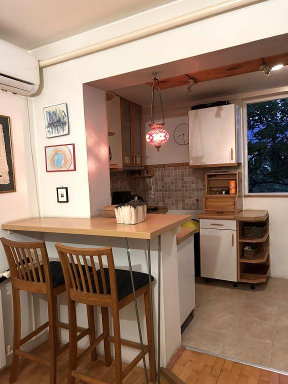 Kuchyň nebo kuchyňský kout v ubytování Feniks Apartment