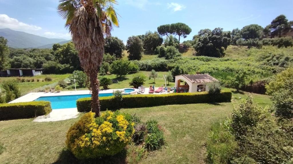 une villa avec un palmier et une piscine dans l'établissement charming villa with pool, à Bastelicaccia