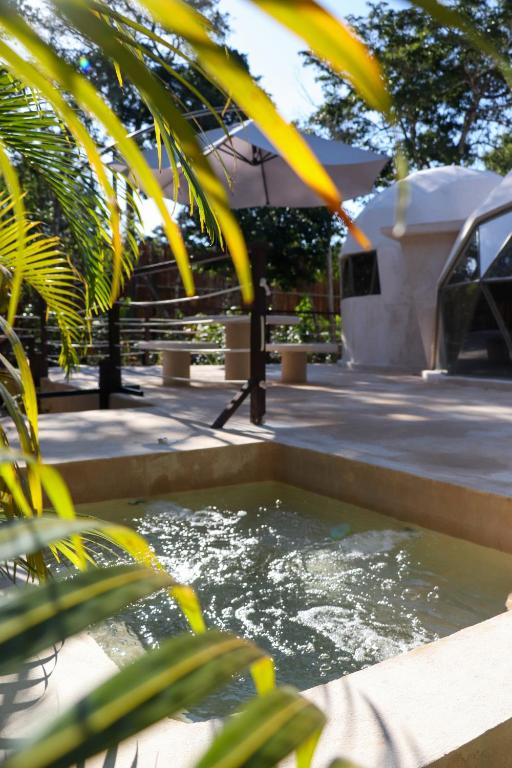 Bazén v ubytování Alma Maya Resort - Riviera Maya nebo v jeho okolí