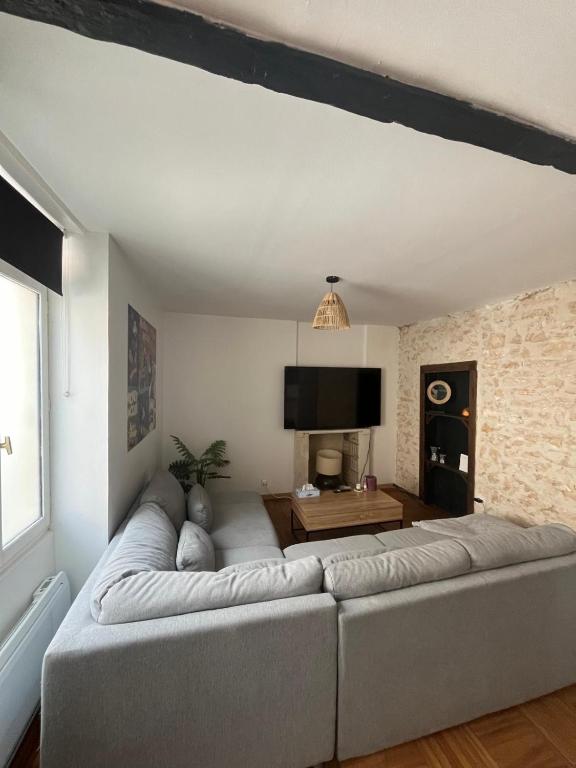 un salon avec un canapé et une télévision dans l'établissement Cozy apartment Gare, à Poitiers
