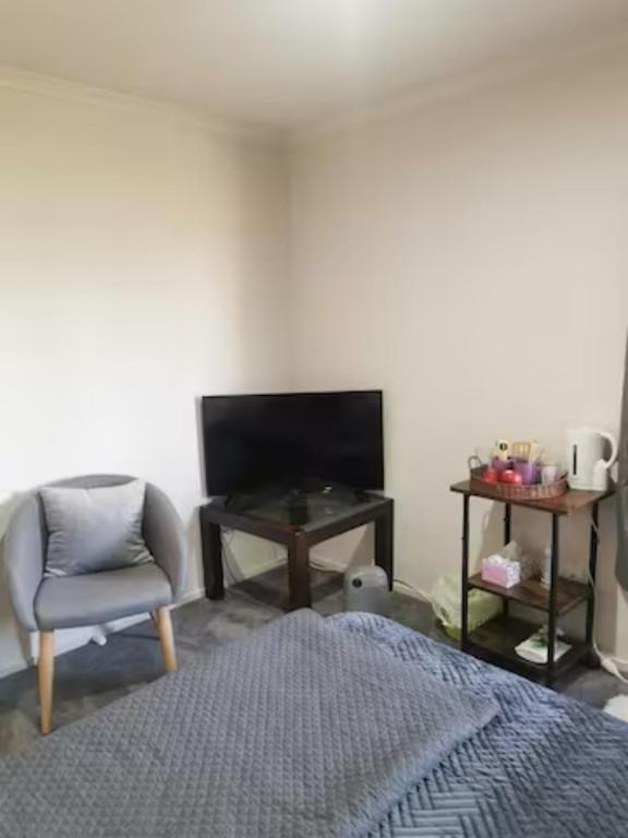 TV a/nebo společenská místnost v ubytování Double Room Free WIFI
