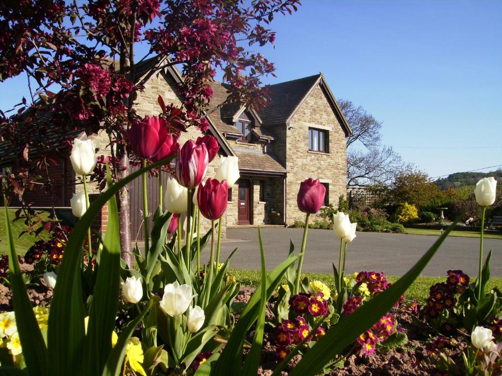 a bunch of flowers in front of a house at Highfield in Hay-on-Wye