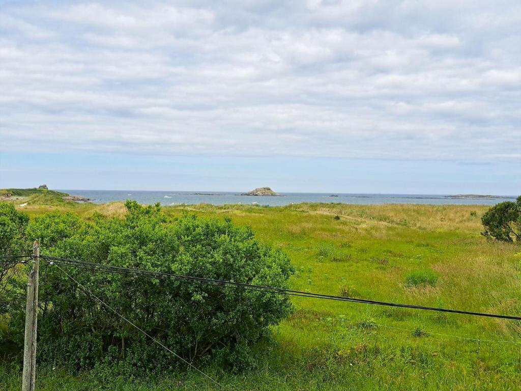une clôture dans un champ avec l'océan en arrière-plan dans l'établissement House in Treompan near Sandy Beach, cleaning included, à Ploudalmézeau