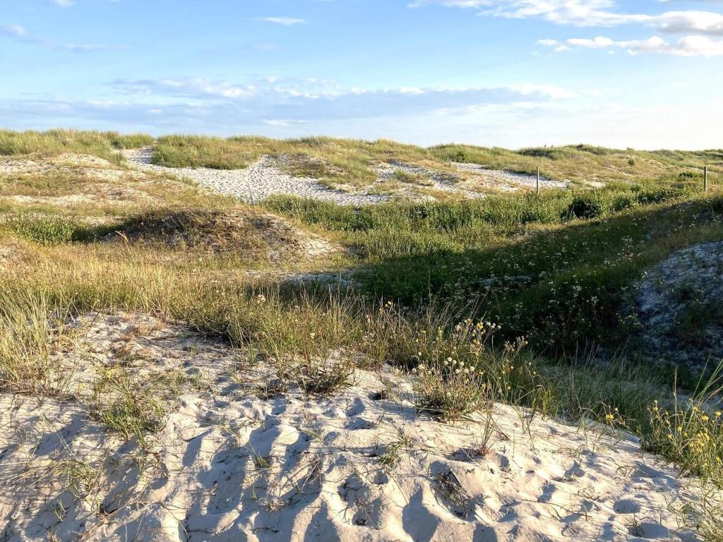 Loodusmaastik puhkemaja lähedal