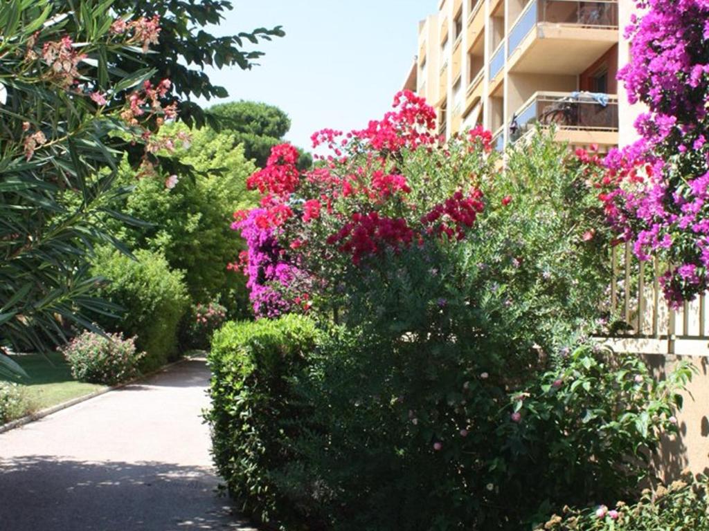 un jardin de fleurs à côté d'un bâtiment dans l'établissement T2 à Hyères avec Parking, 4 Personnes - FR-1-335-207, à Hyères