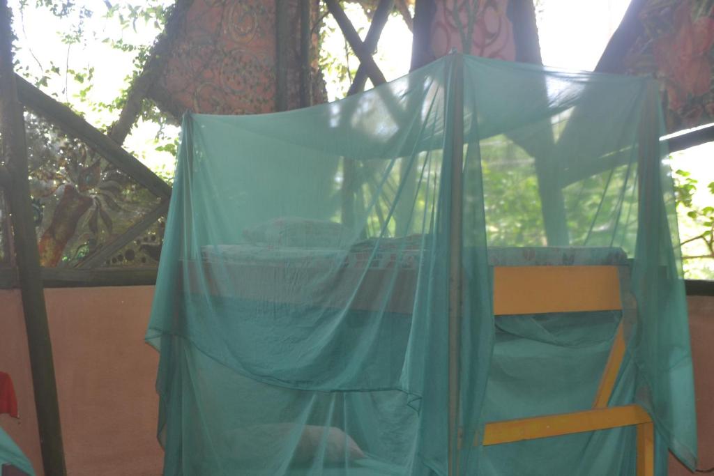 Fotografie z fotogalerie ubytování Hostel Piramys v destinaci Tapantí