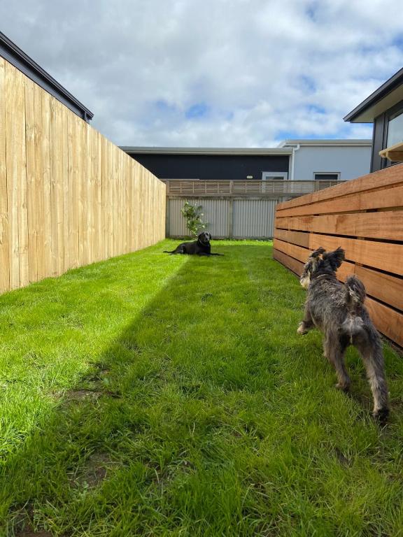 Bubbles Bach-dog friendly, close to beach & shops! - Resim 31