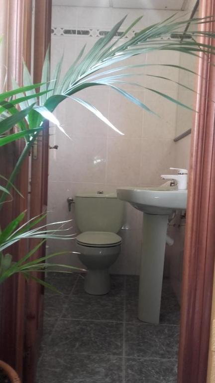 Casa Turistica Termas aparcamiento y desayuno incluido - 8