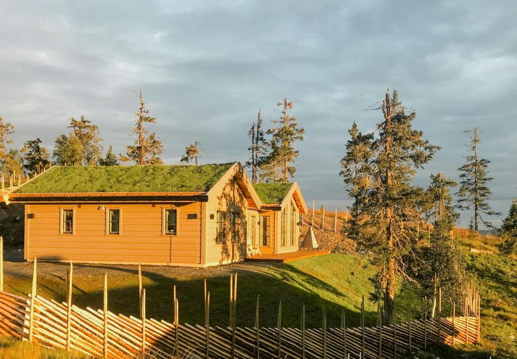 een huis met een grasdak op een heuvel bij Modern Cabin By Skeikampen's Ski Trails in Svingvoll