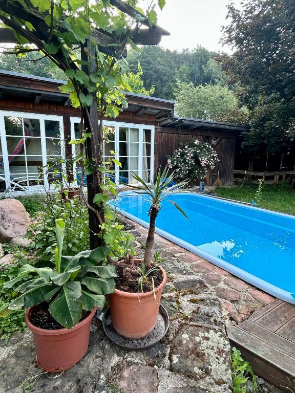 Bergfohlenhof - Two-Bedroom Apartment With Balcony And Terrace