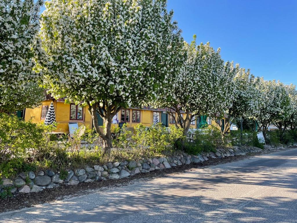 En have udenfor Lodsoldermandsgården