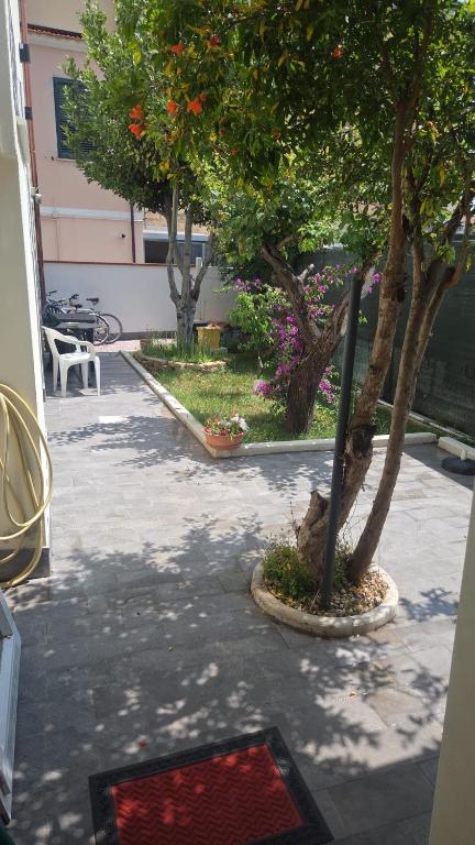 Zahrada ubytování B&B La Scalina