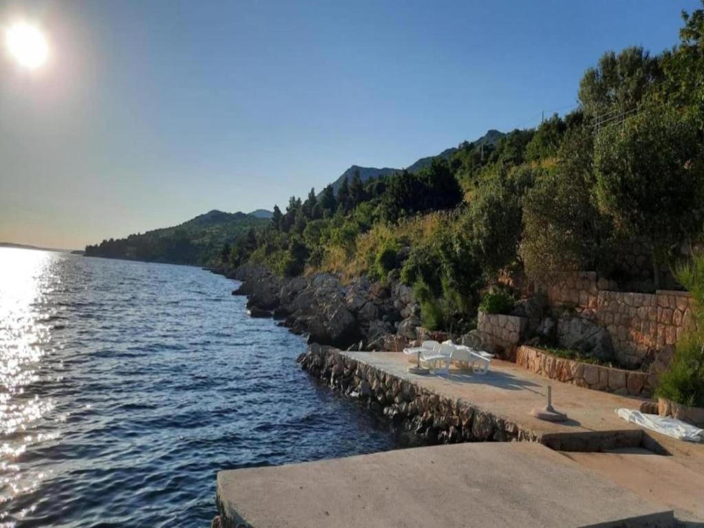 Príroda v okolí apartmánu