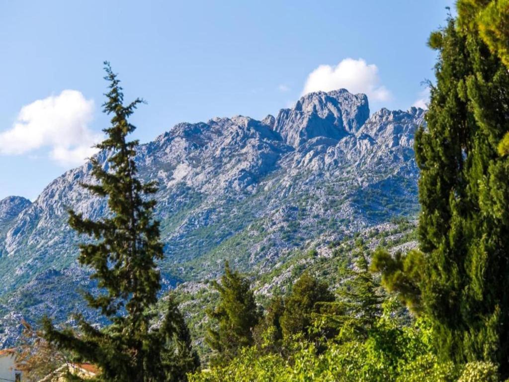 Príroda v okolí apartmánu