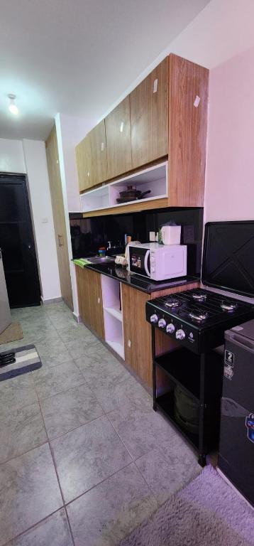 Kuchyň nebo kuchyňský kout v ubytování Tsavo Studio Fedha