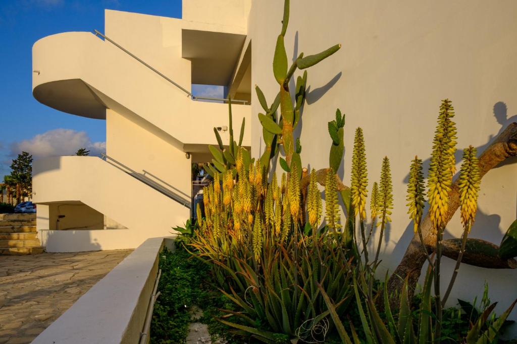 Giardino di Pandream Hotel Apartments