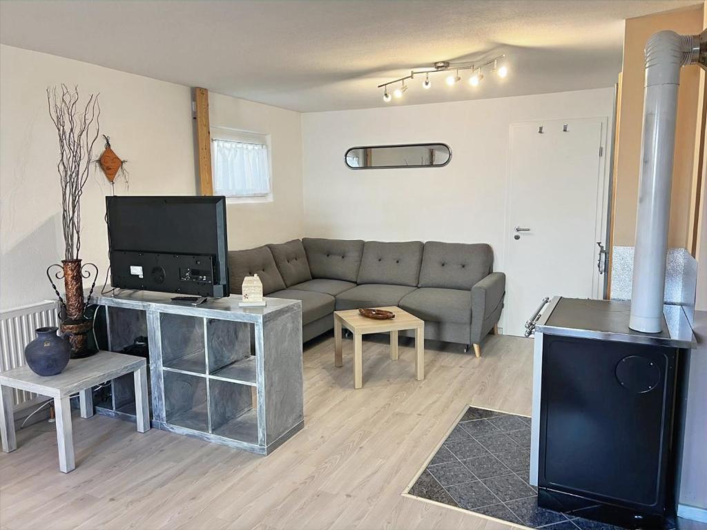 a living room with a couch and a tv at Ferienwohnung Rhön mit Terrasse im Grünen in Burkardroth