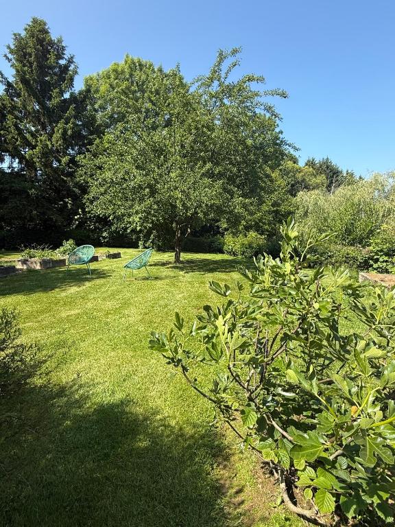 Zahrada ubytování Arduinna's Nest B&B